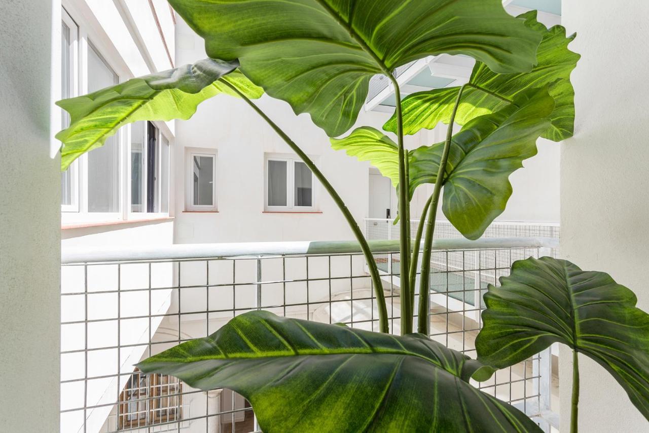 Ferienwohnung Dona Blanca Centro Diseno Minimalista Jerez de la Frontera Exterior foto